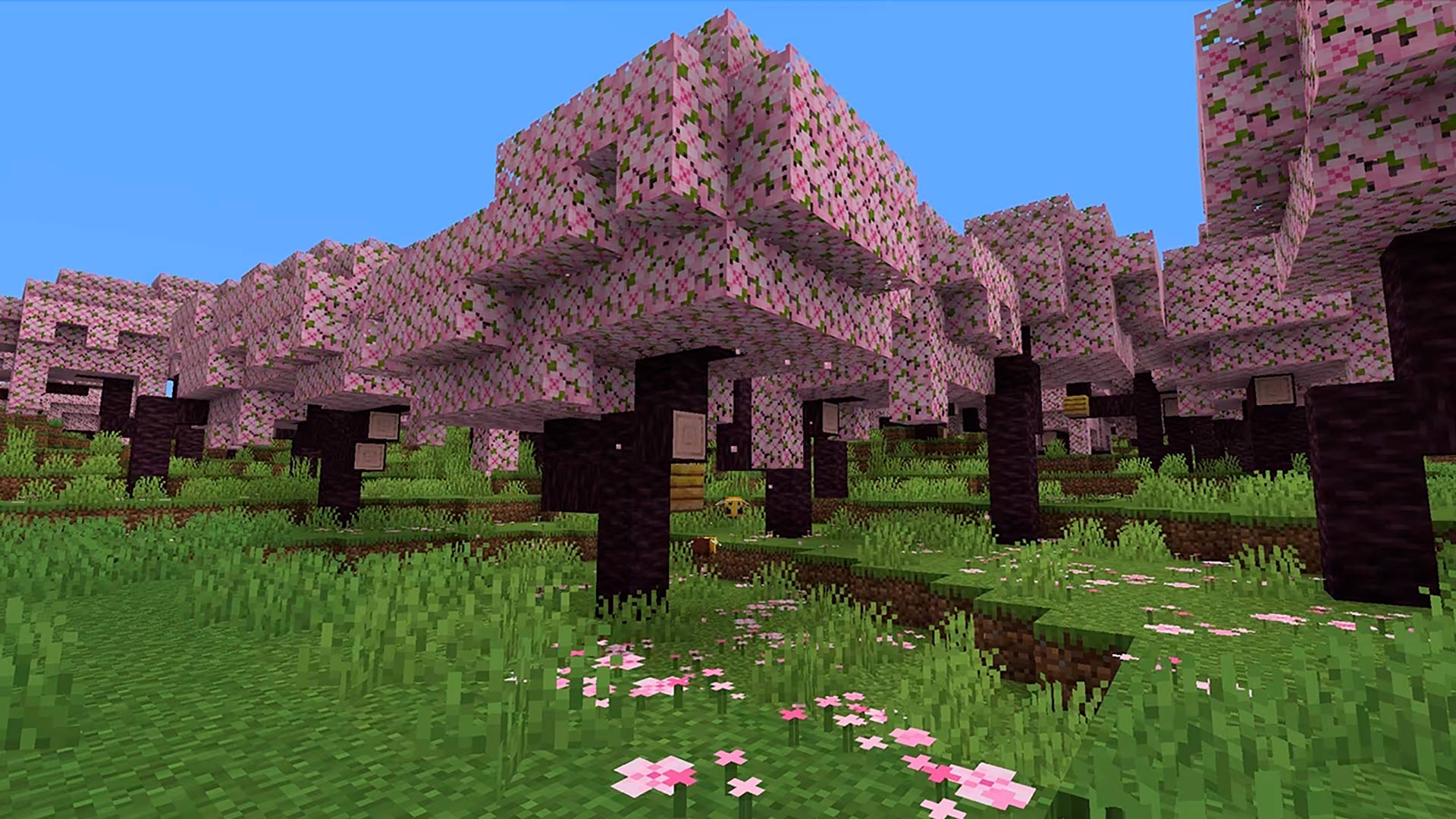 Bioma de cerezo en Minecraft