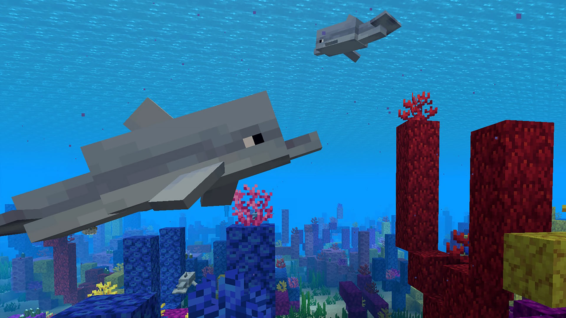 Delfines en Minecraft